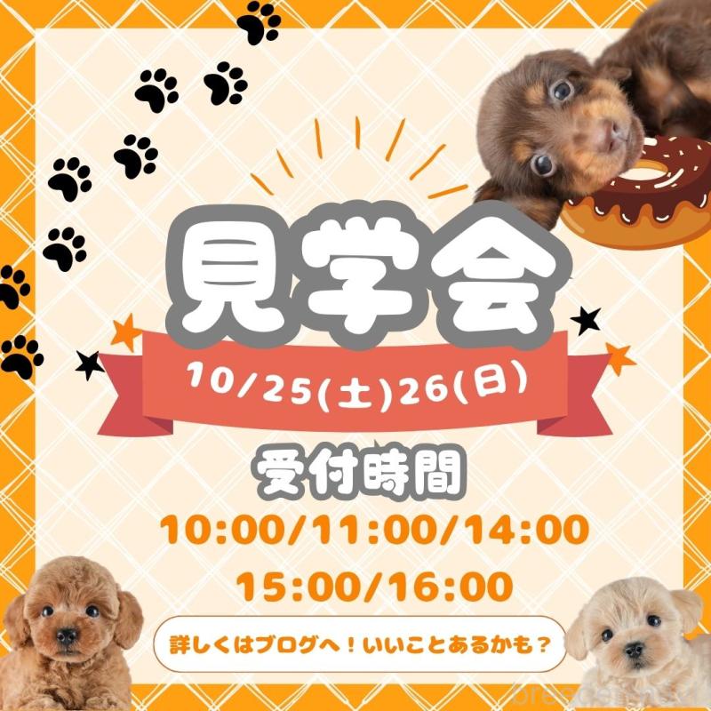 鈴木理菜ブリーダーの詳細の1枚目