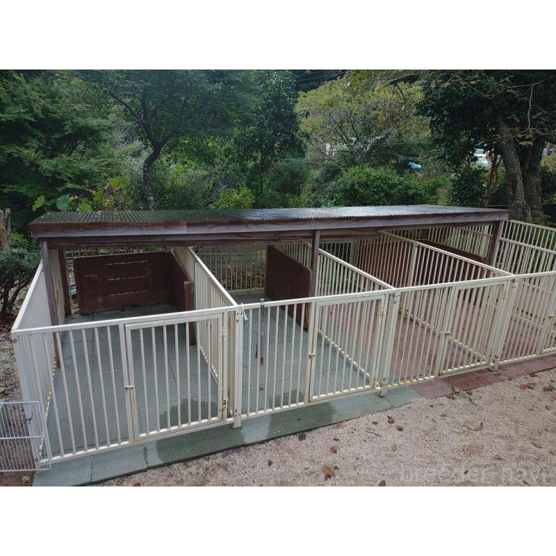 曽田卓ブリーダーの詳細