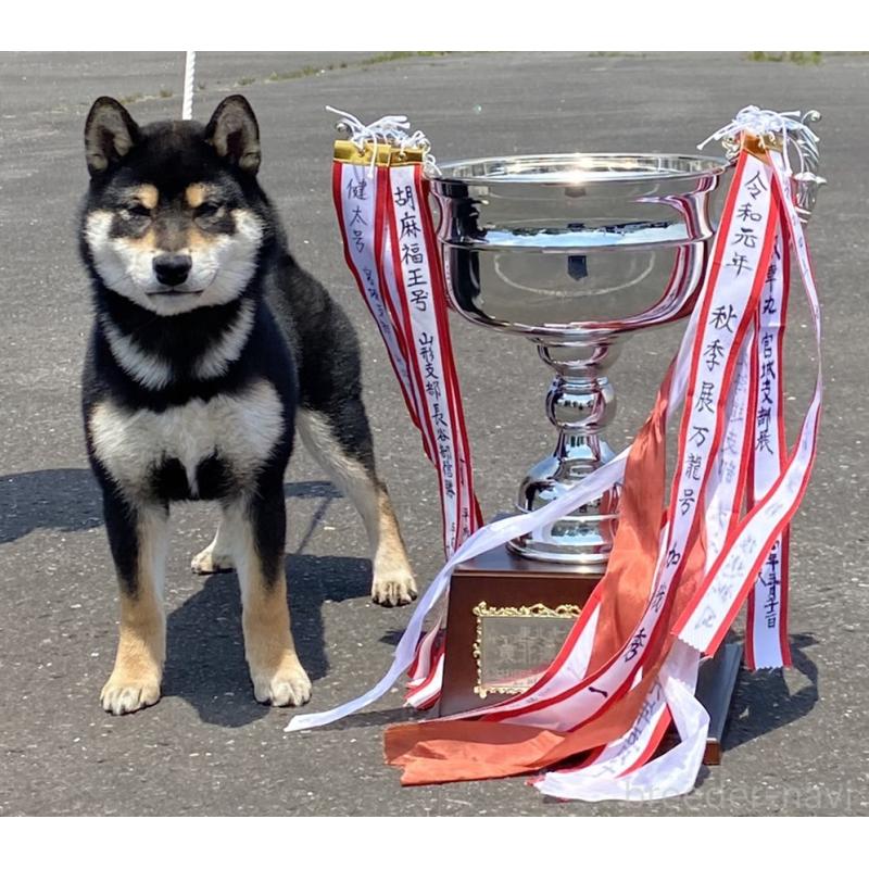 工藤綾子ブリーダーの詳細