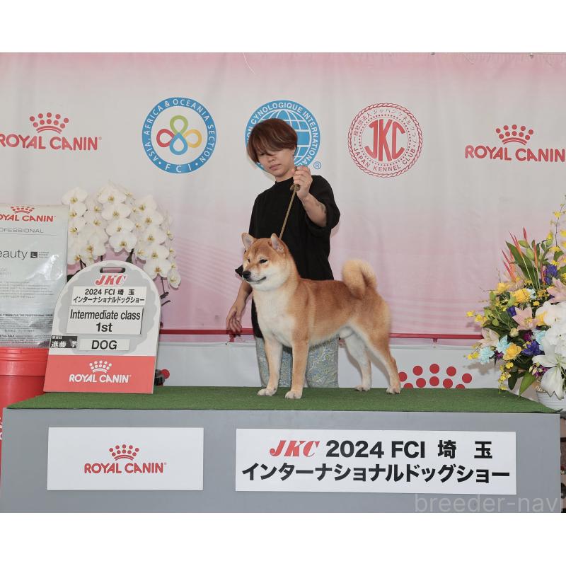 工藤綾子ブリーダーの詳細