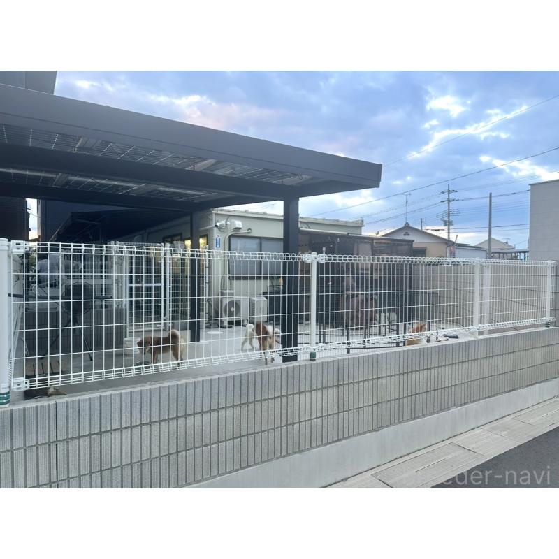 茂木稔ブリーダーの詳細