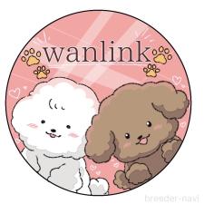 江川伸子ブリーダー