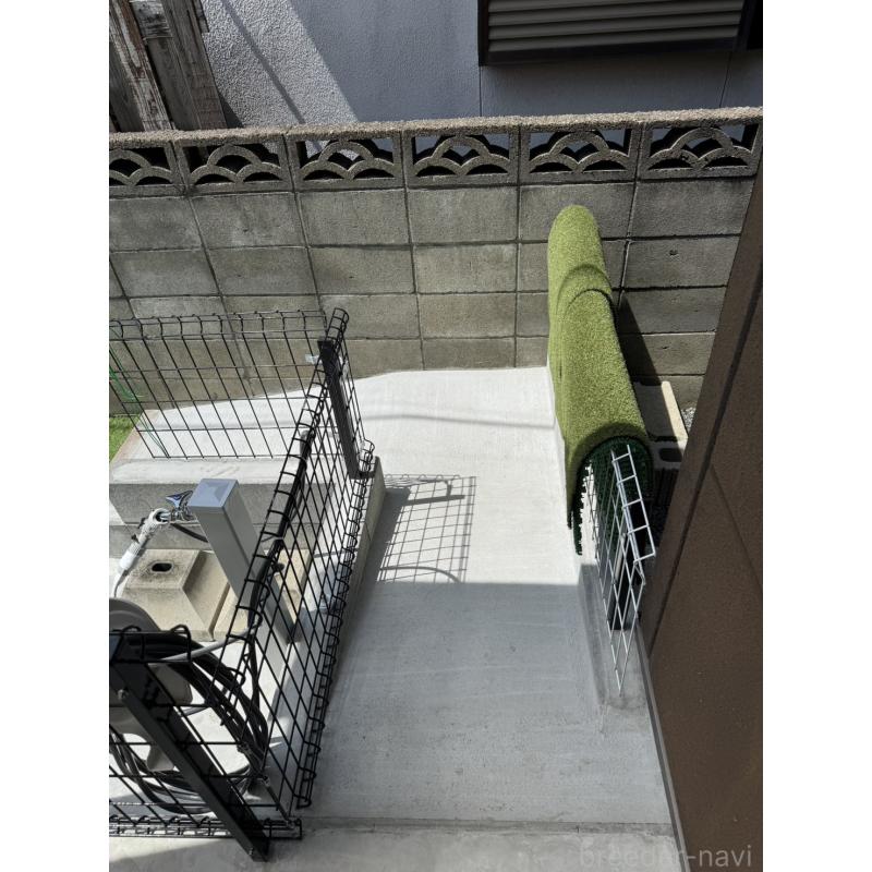 大中美保ブリーダーの詳細