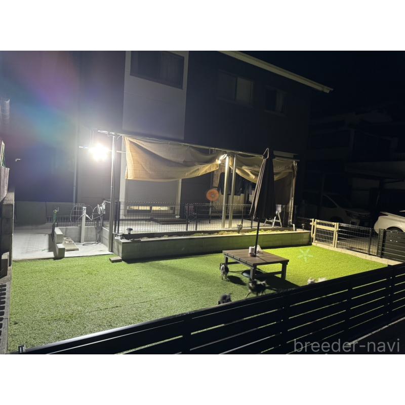 大中美保ブリーダーの詳細