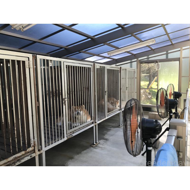 横井哲也ブリーダーの詳細