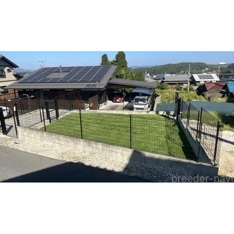 横井哲也ブリーダーの詳細