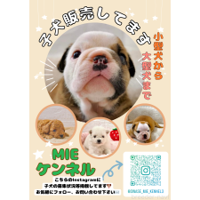 樋口伸次ブリーダー