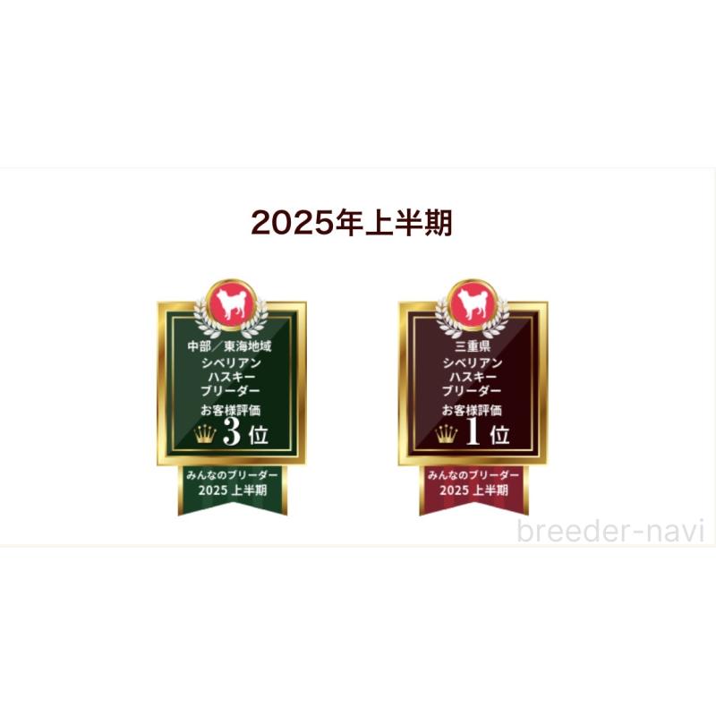 樋口伸次ブリーダーの詳細