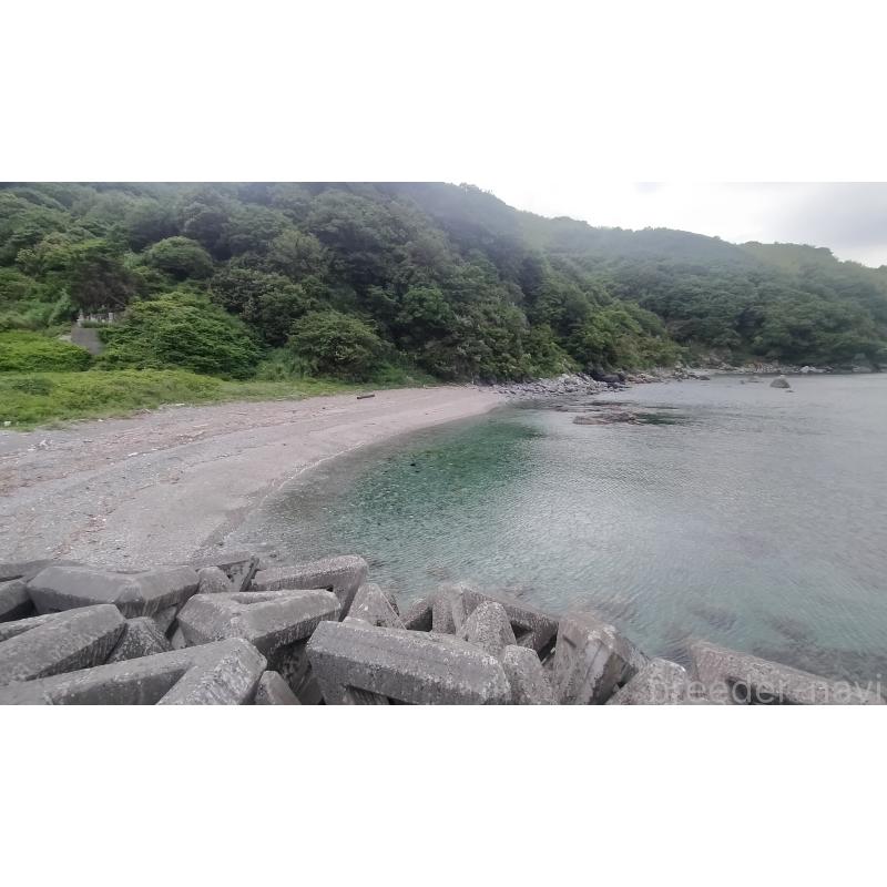 犬舎紹介の愛媛県の犬舎紹介-5253の2枚目