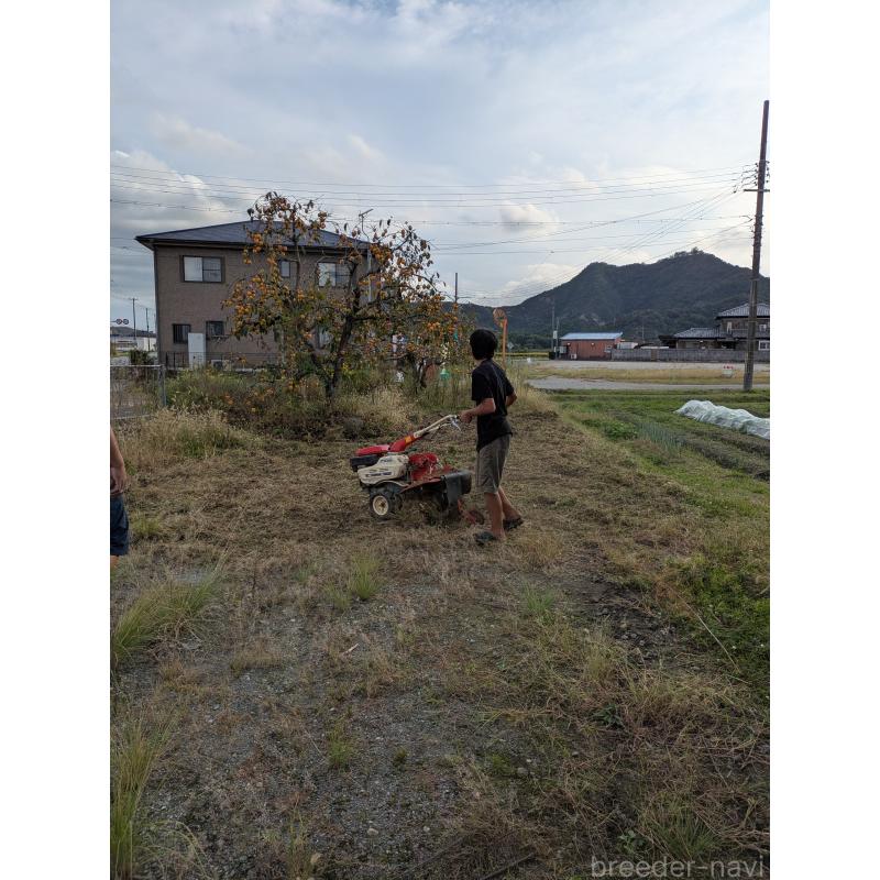 犬舎紹介の愛媛県の犬舎紹介-5253の3枚目