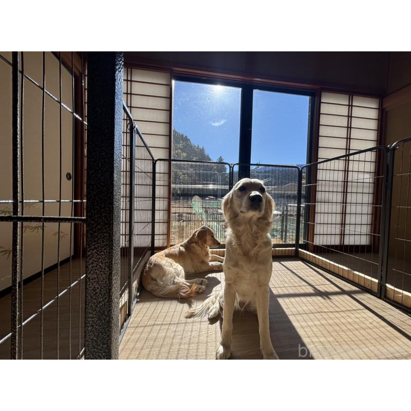 長田香苗ブリーダーの詳細