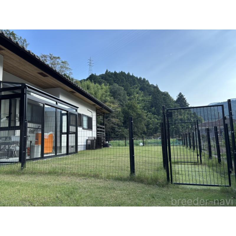 長田香苗ブリーダーの詳細