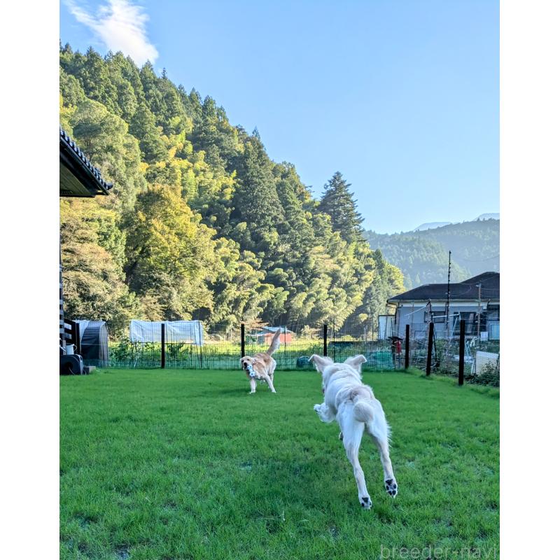 長田香苗ブリーダーの詳細