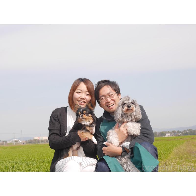 松尾静男ブリーダーの詳細の1枚目