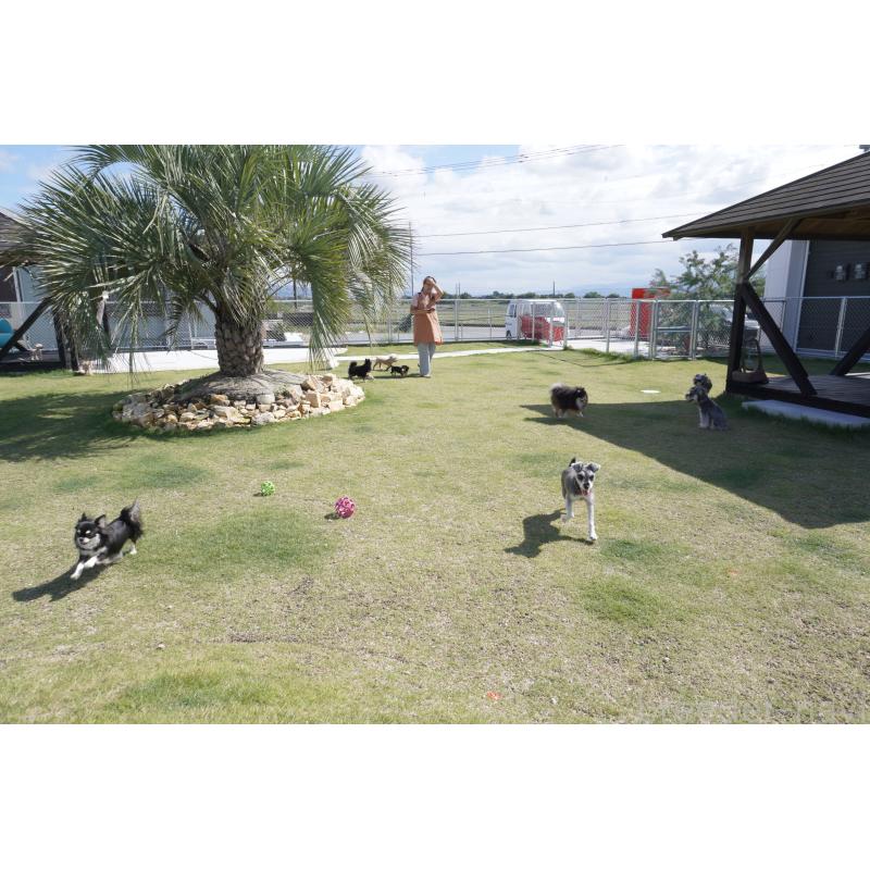 松尾静男ブリーダーの詳細