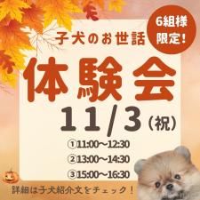 勝間大輝ブリーダー