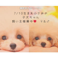 榊原栄太ブリーダー