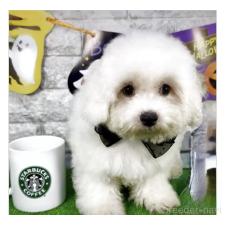 オンライン見学