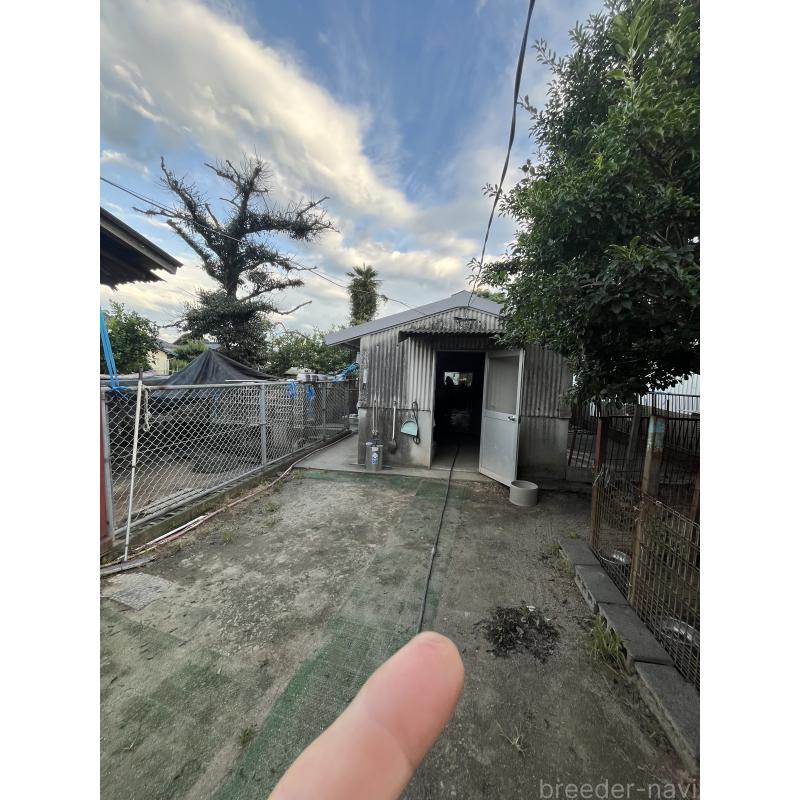 佐藤スエ子ブリーダーの詳細