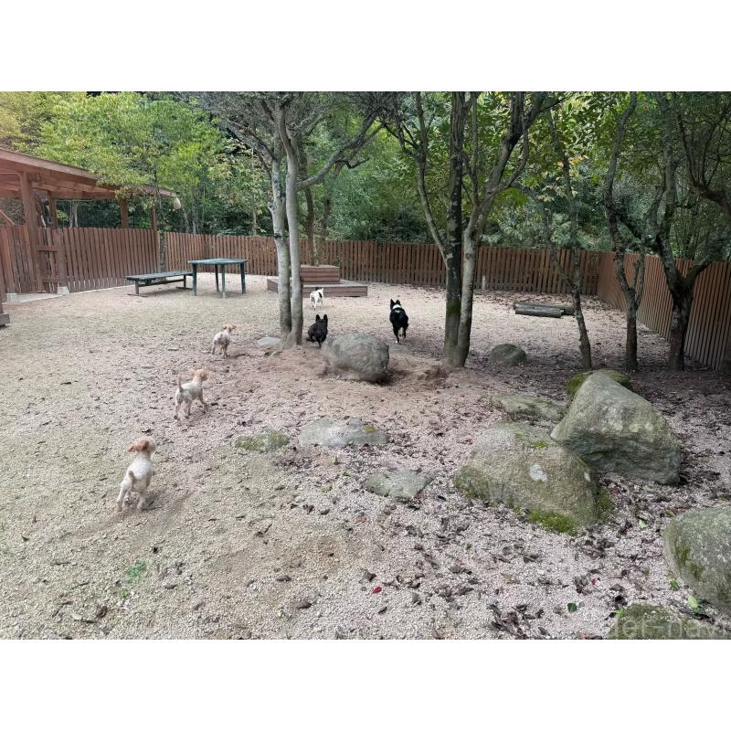 猪俣賢ブリーダーの詳細