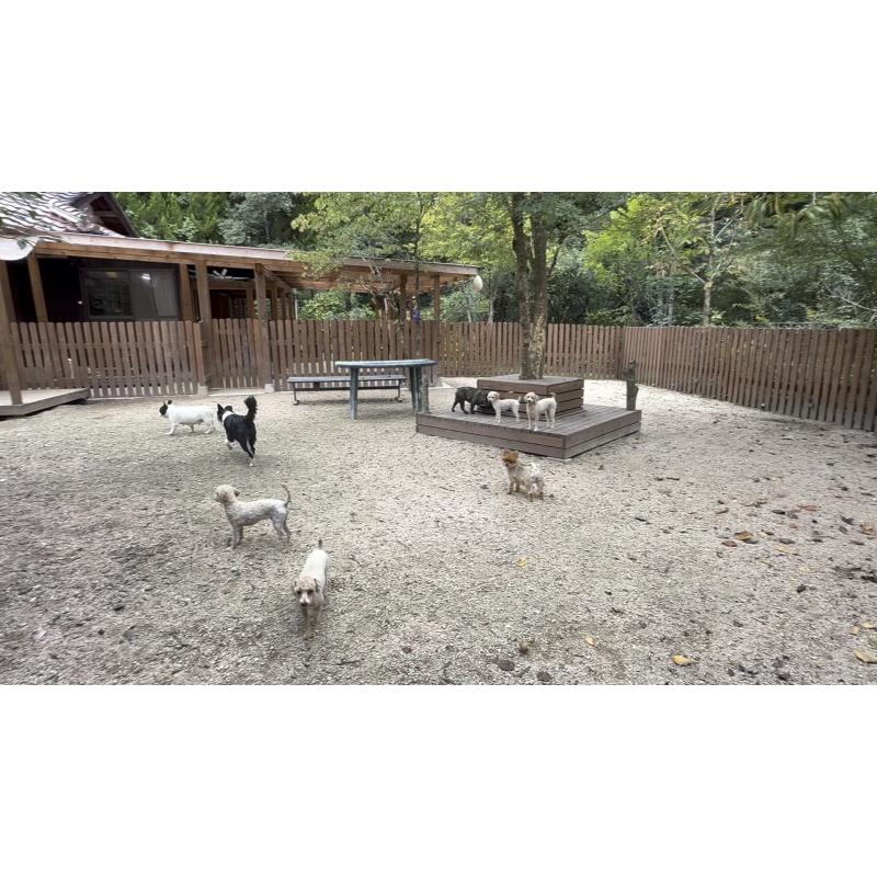 猪俣賢ブリーダーの詳細