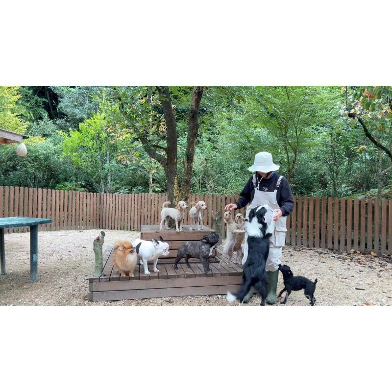 猪俣賢ブリーダーの詳細