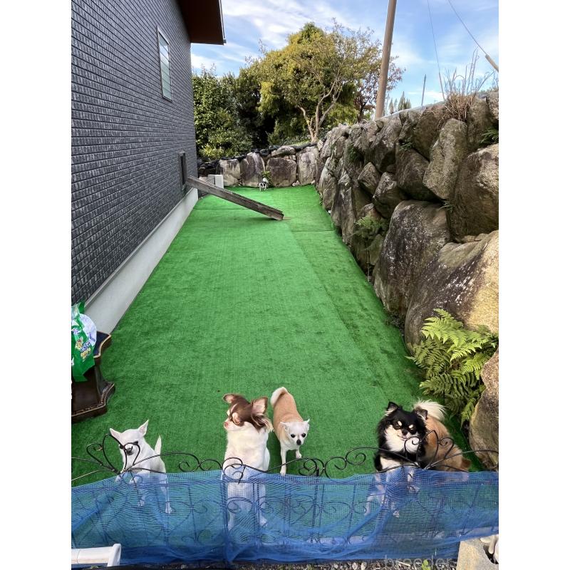 山口朱実ブリーダーの詳細