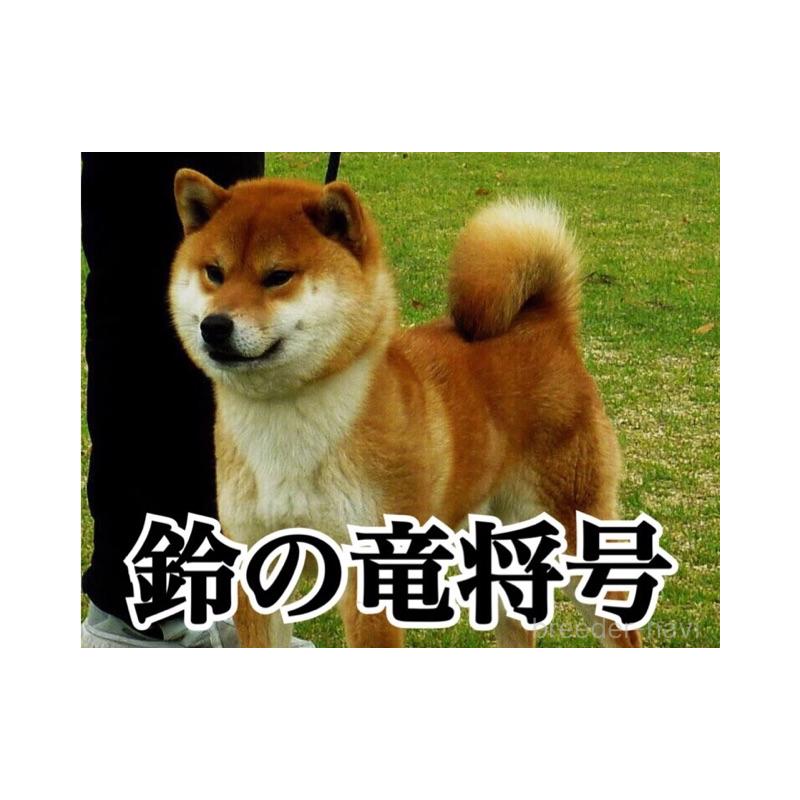 川原一泰ブリーダーの詳細の1枚目