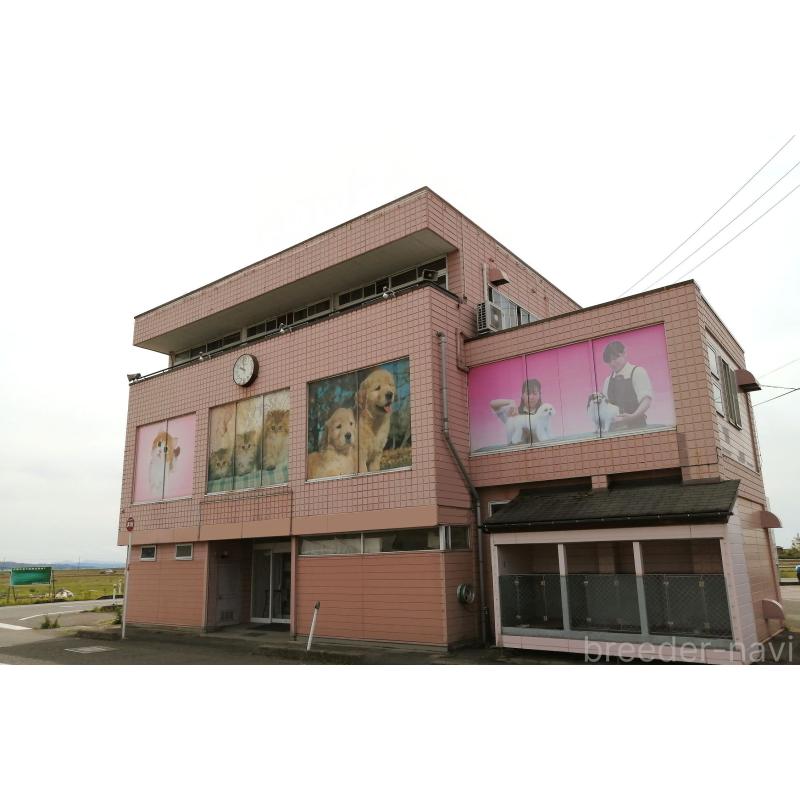 竹内啓二ブリーダーの詳細