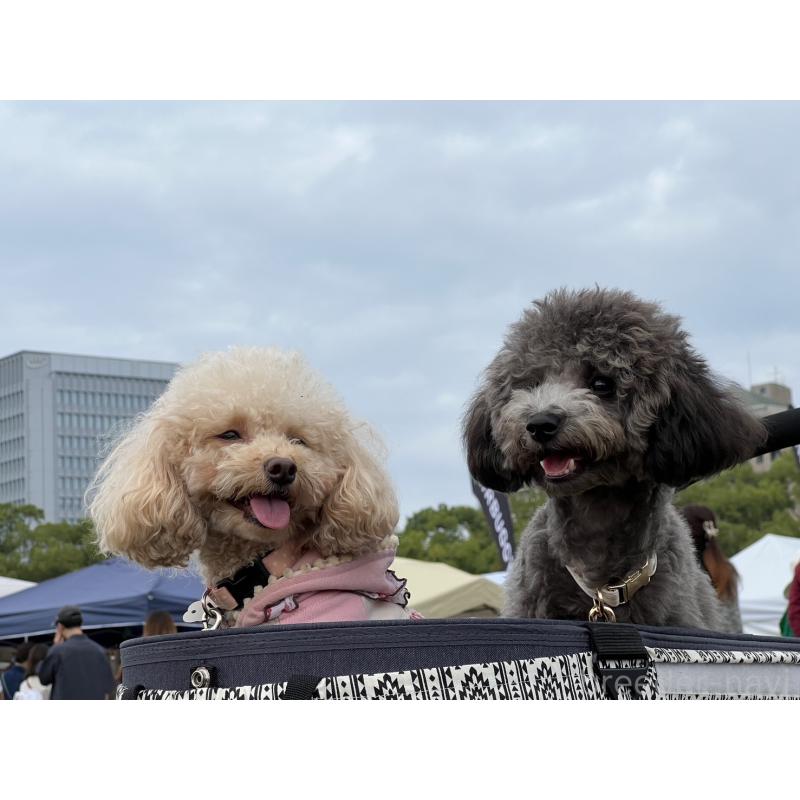岩永美鈴ブリーダーの詳細の1枚目