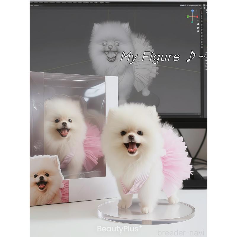 藤森光浩ブリーダーの詳細