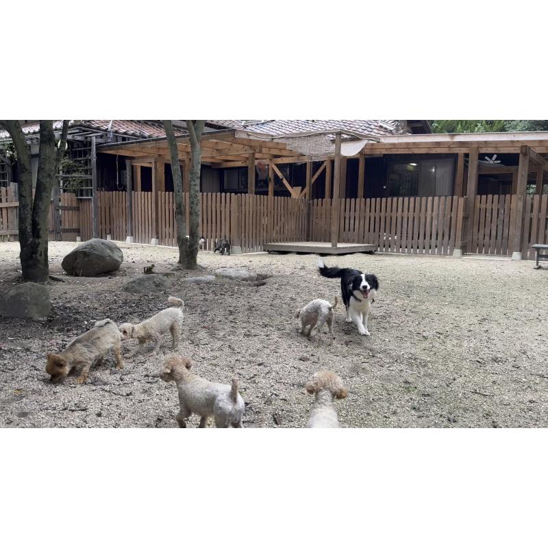 猪俣賢ブリーダーの詳細