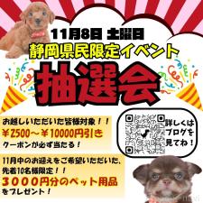 矢込晴菜ブリーダー