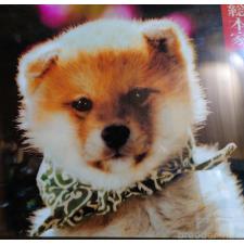 倉本麻紀ブリーダー