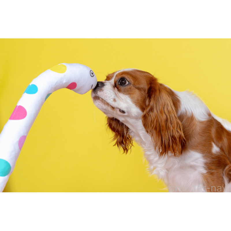 江口淳也ブリーダーの詳細