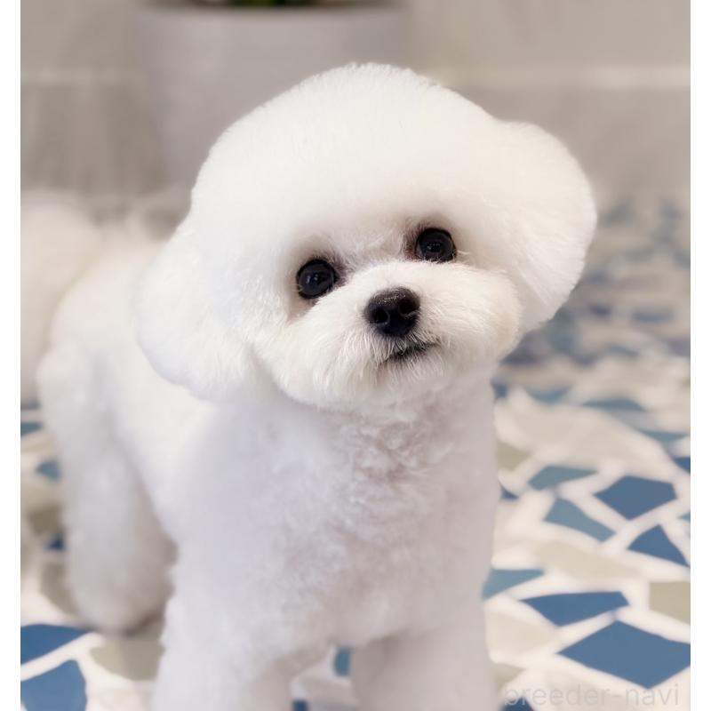 岸田英愛ブリーダーの詳細の1枚目