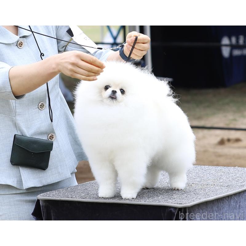 岸田英愛ブリーダーの詳細