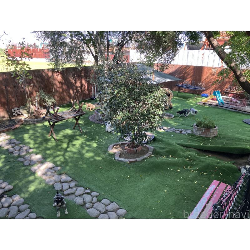 梶正義ブリーダーの詳細