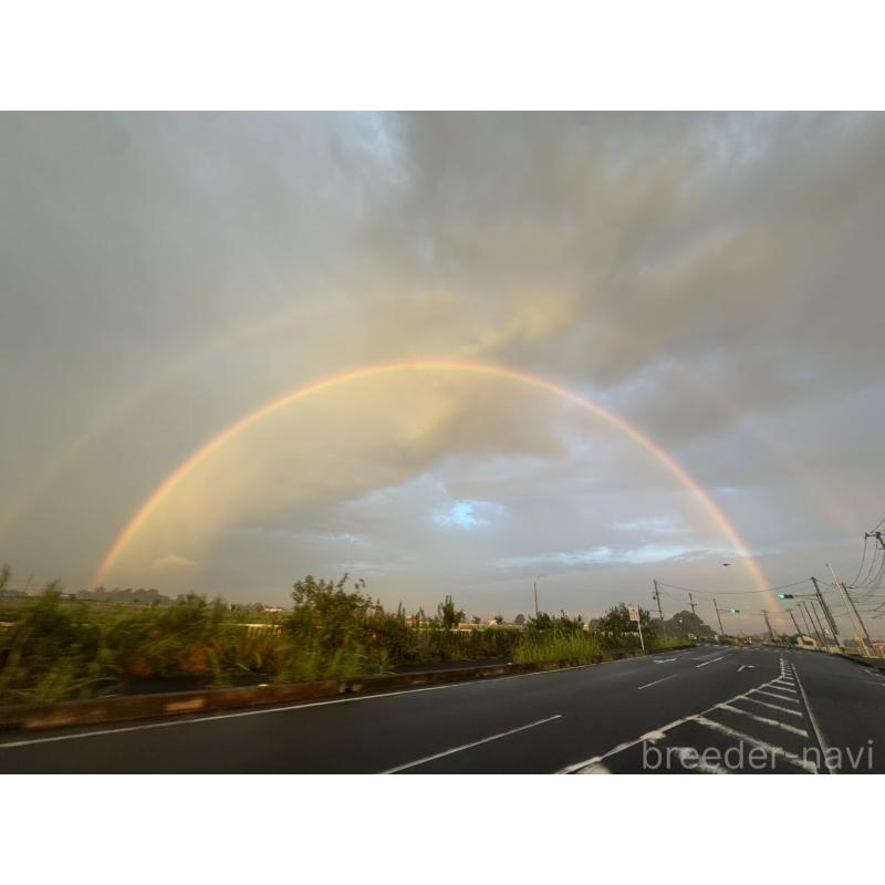 関紀江ブリーダーの詳細の1枚目