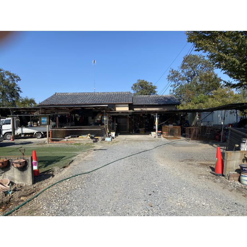 関紀江ブリーダーの詳細