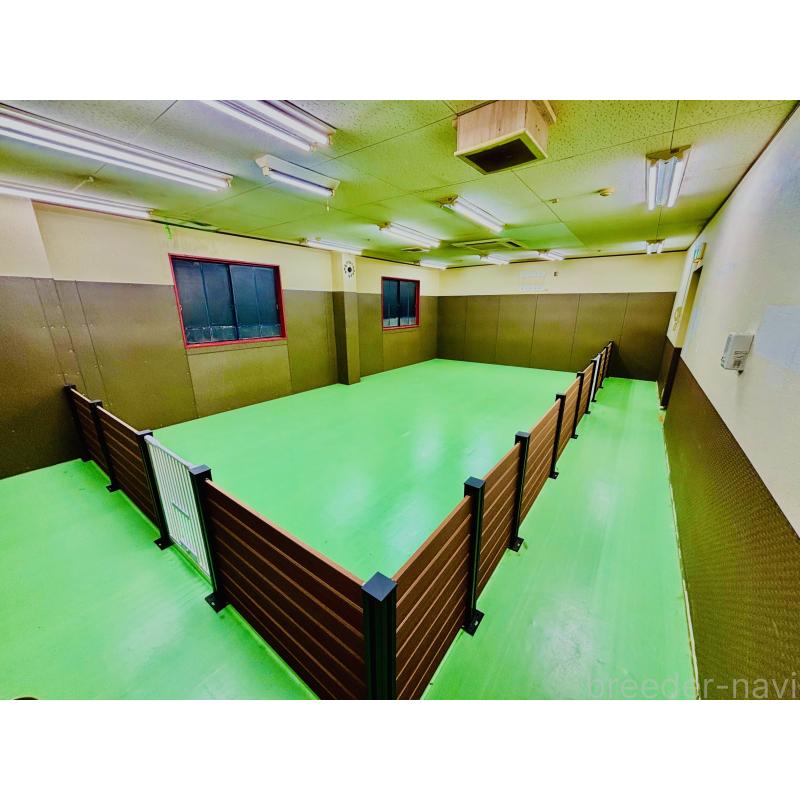 松原慶典ブリーダーの詳細