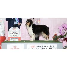 廣田愛美ブリーダー