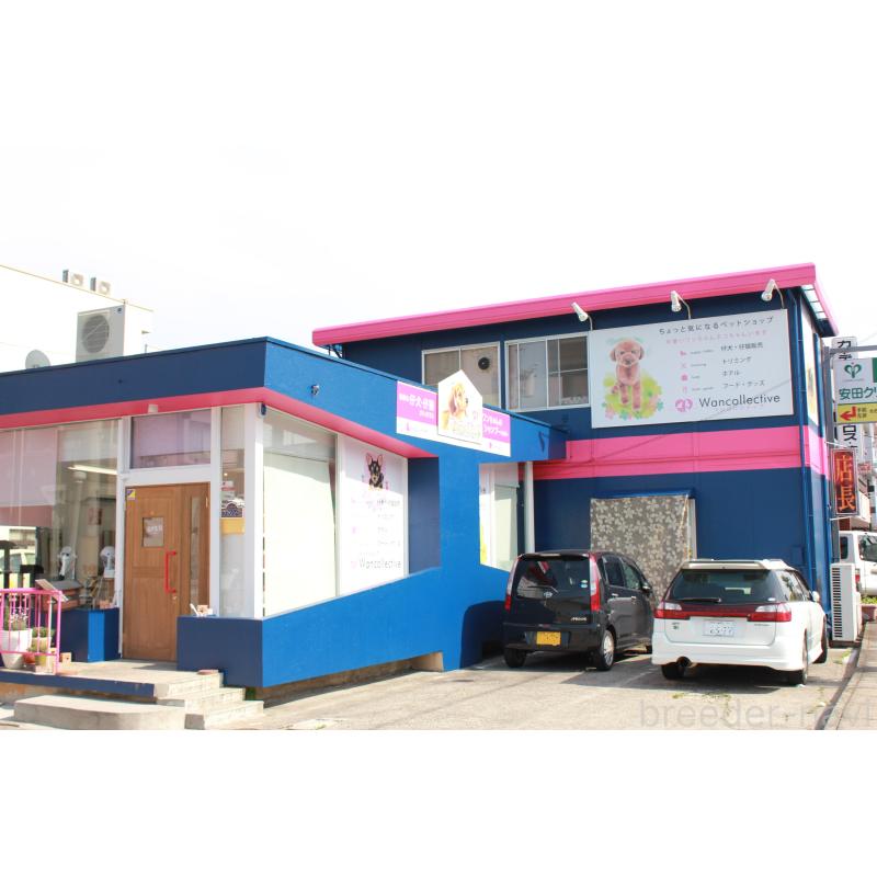 鈴木陽善ブリーダーの詳細