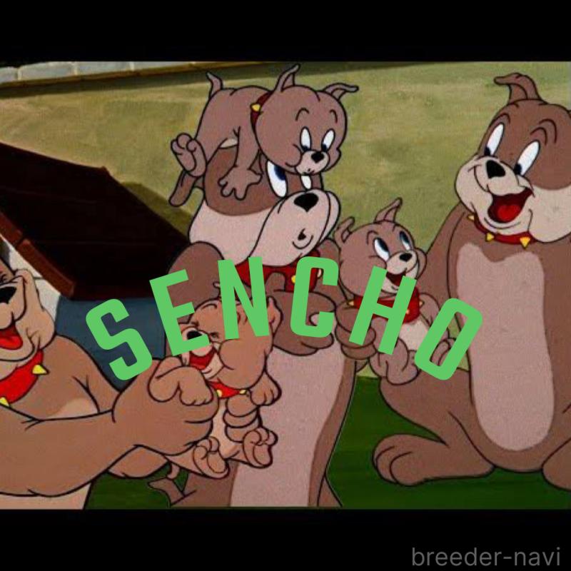 大野智成ブリーダーの詳細の1枚目