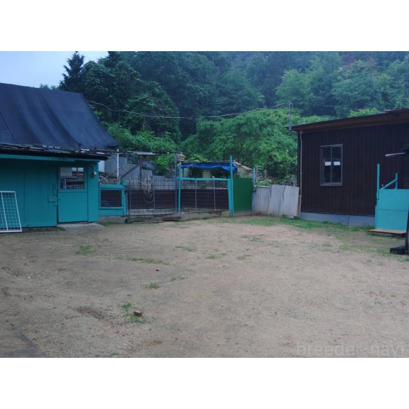 中川昭和ブリーダーの詳細