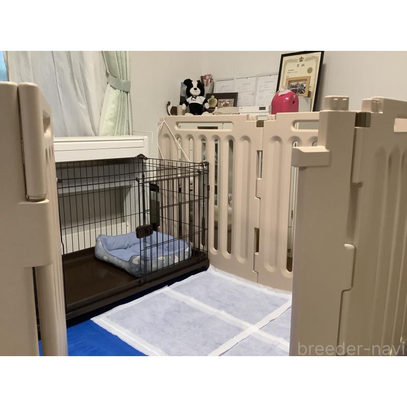 酒井綾ブリーダーの詳細