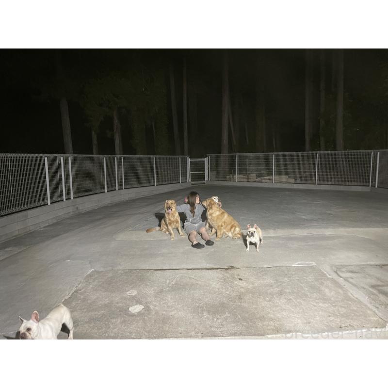 松波留理子ブリーダーの詳細