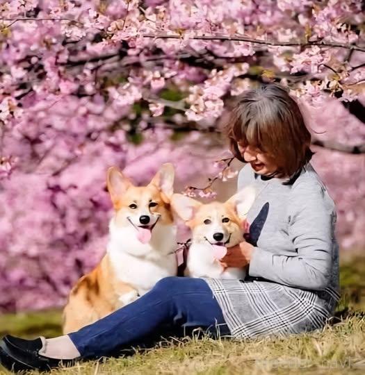 佐藤ブリーダー