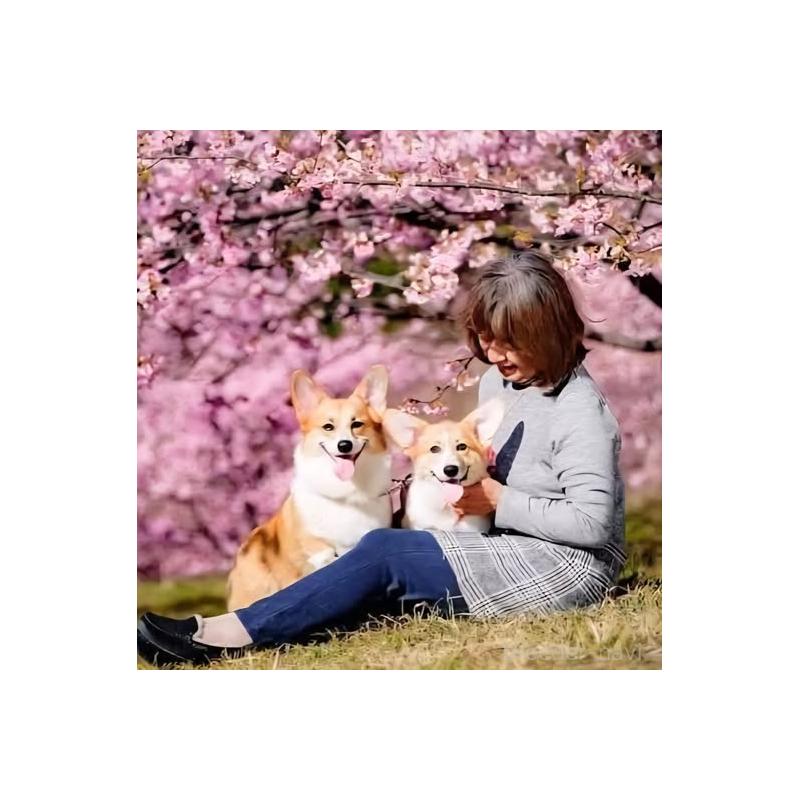 佐藤玲子ブリーダーの詳細の1枚目