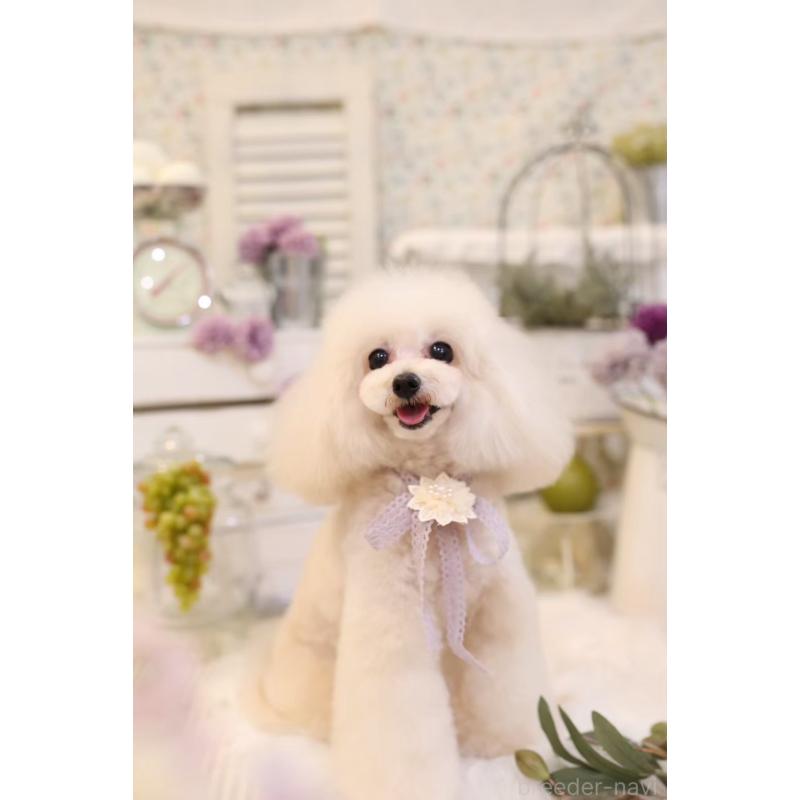 浮所ひと美ブリーダーの詳細